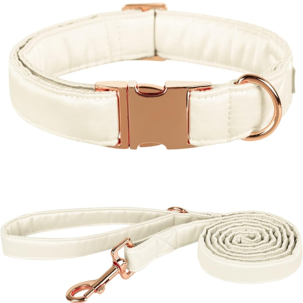 Medium dog collar and leash